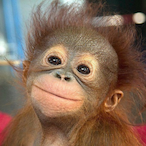 brandon._.-.'s Avatar'