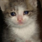 Sssaaaaacchh's Avatar'