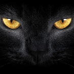 Tremendously's Avatar'