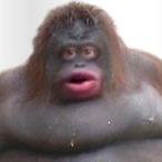 poopyfunnyhaha's Avatar'