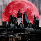 EpilepticcEwok's Avatar'