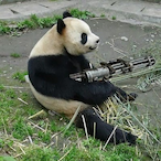 QualifiedPanda's Avatar'