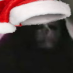 Vccroix3223's Avatar