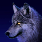 parsa0070's Avatar'