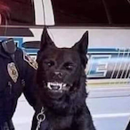 ExplosiveArt00's Avatar'