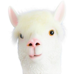 Hiimkenny's Avatar'