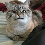 Jennythekiller's Avatar'