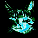StraySpaceCat's Avatar'