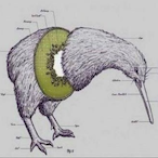 zendgyNutz's Avatar'