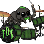 DruminSpider's Avatar'
