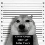 Recon_Rat's Avatar'