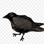 Cheekyupper6732's Avatar'