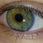 Cap.dumpling's Avatar'