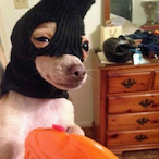 DoubleJays's Avatar'