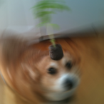 Japelle.Jeff's Avatar