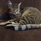 Amelie1810's Avatar'