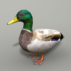Patrick_Carroll's Avatar'