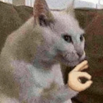 Hr.Winkler1510's Avatar'