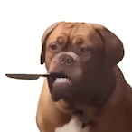 Plermpai's Avatar'