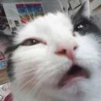 MoonNV's Avatar'