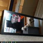 UsedFentyCart's Avatar'