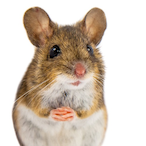 CTRLNARRATIV's Avatar'