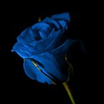 Kissmyaxe3970's Avatar'