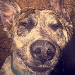 SmokeyBearxx's Avatar'