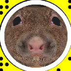 Kryyyzer's Avatar'