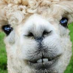 JERTR_12's Avatar'