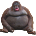 ZetaCheese's Avatar'