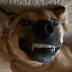 ConnorThorstens's Avatar'