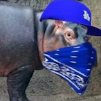 crippothehippo's Avatar'