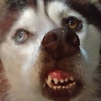 jefferyisalive67's Avatar'
