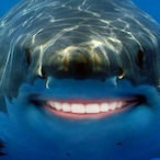 Forgono's Avatar'