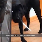 Shadow_max9734's Avatar'