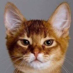 its_3aboodation's Avatar'