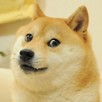DogeKev's Avatar'