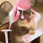 h8ice's Avatar'