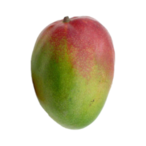 TheBeeMovie's Avatar'