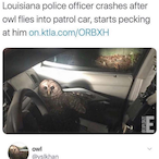 Darknesses4's Avatar'