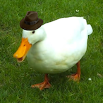 Rice_Farmer_Dyl's Avatar'