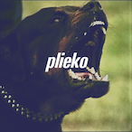 plieko's Avatar'