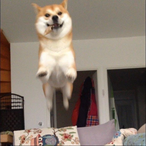 Jaserich11's Avatar'