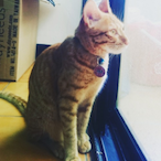 Yungg556666's Avatar'