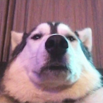 bruh_nana's Avatar'