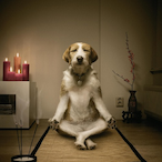 kebunatsaa's Avatar'