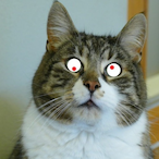ohrenlecker's Avatar'