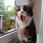 Sphinx_080's Avatar'