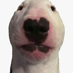 Spoodsterlll's Avatar'